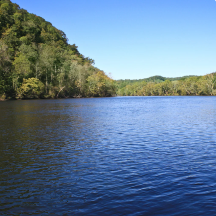 Blue water and wooded shoreline on Norris Lake