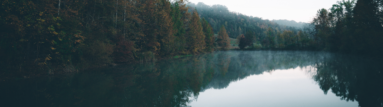 Calm lake water and wooded shoreline in East Tennessee
