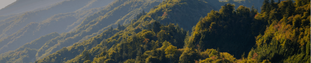 Peaceful mountain landscape in East Tennessee