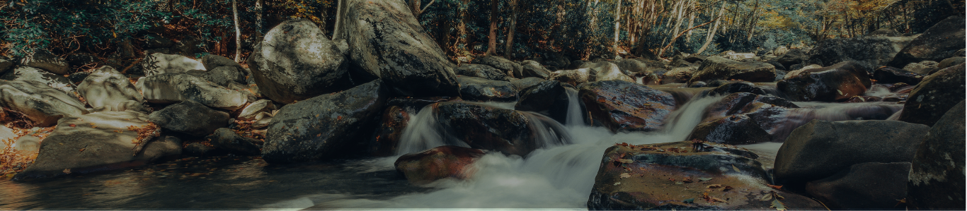 Mountain stream flowing over rocks in East Tennessee