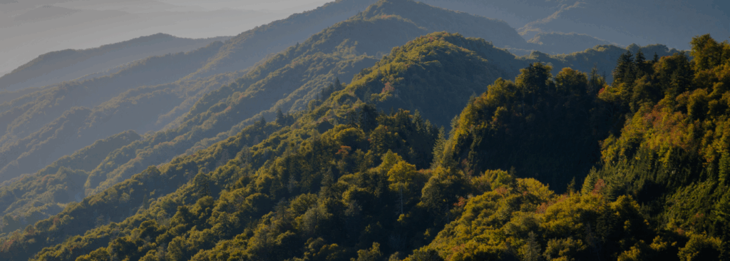 Forested Smoky Mountain ridges near Sevierville
