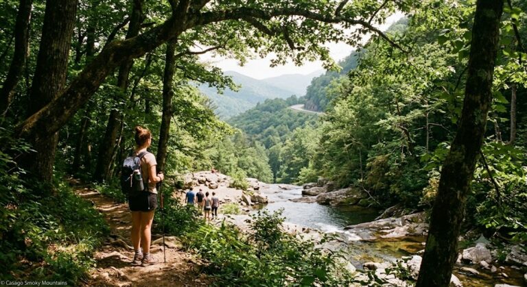 Hikers on a forest trail in the Smoky Mountains