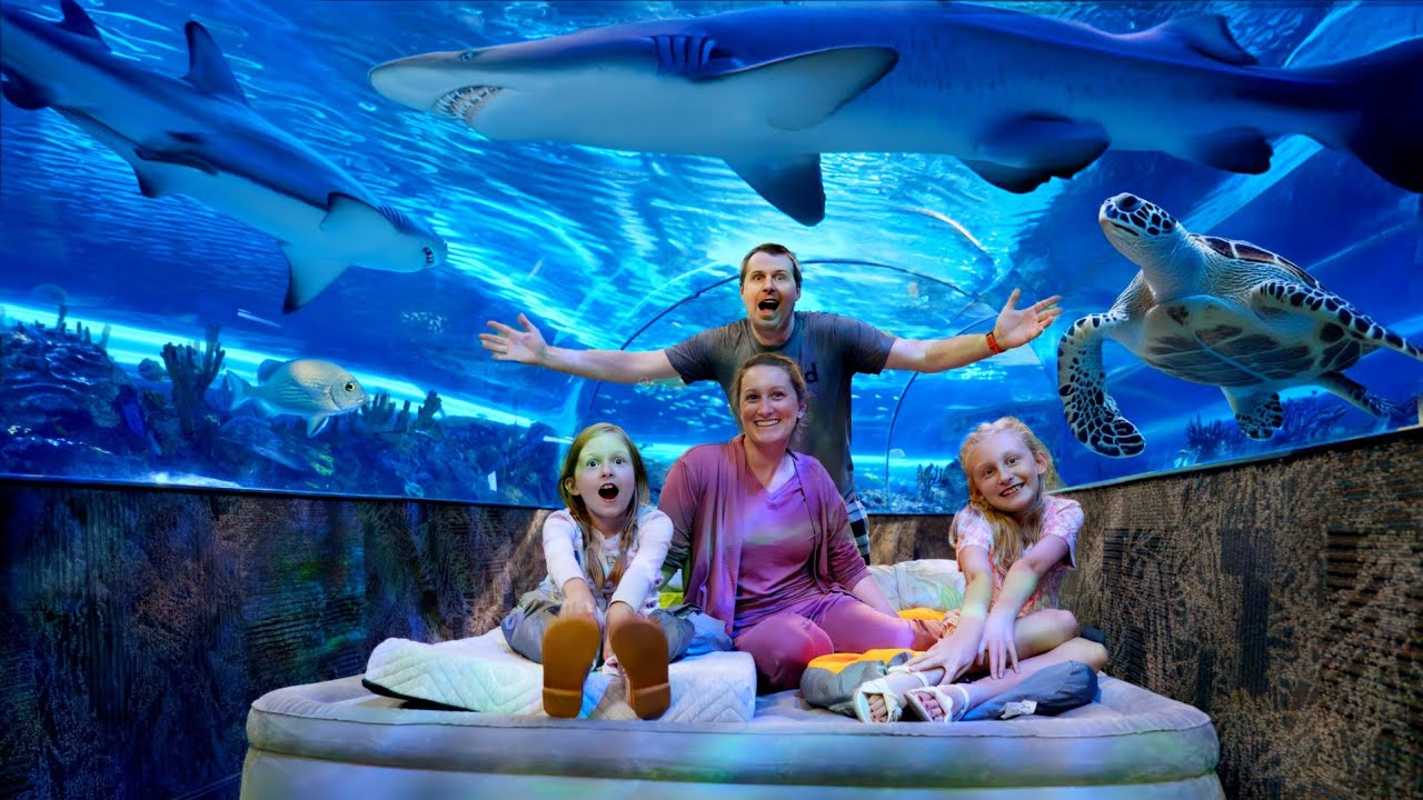 Sleep with The Sharks Image