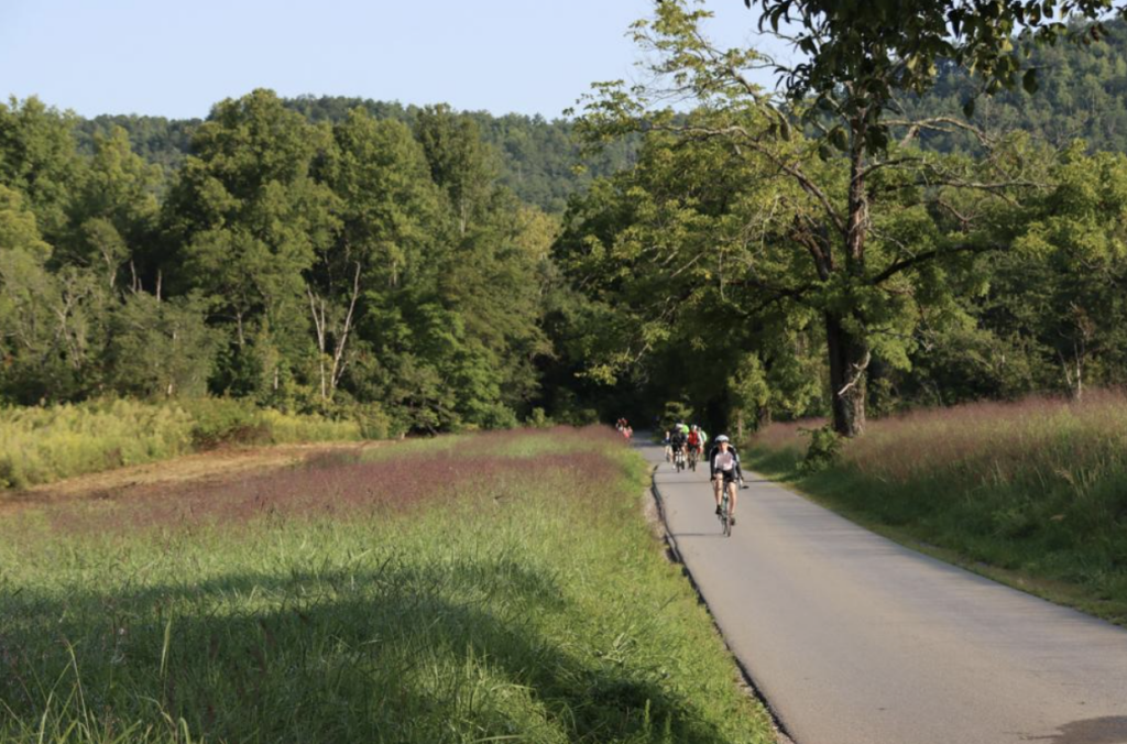 Cyclists and walkers on the Cades Cove Loop Road
