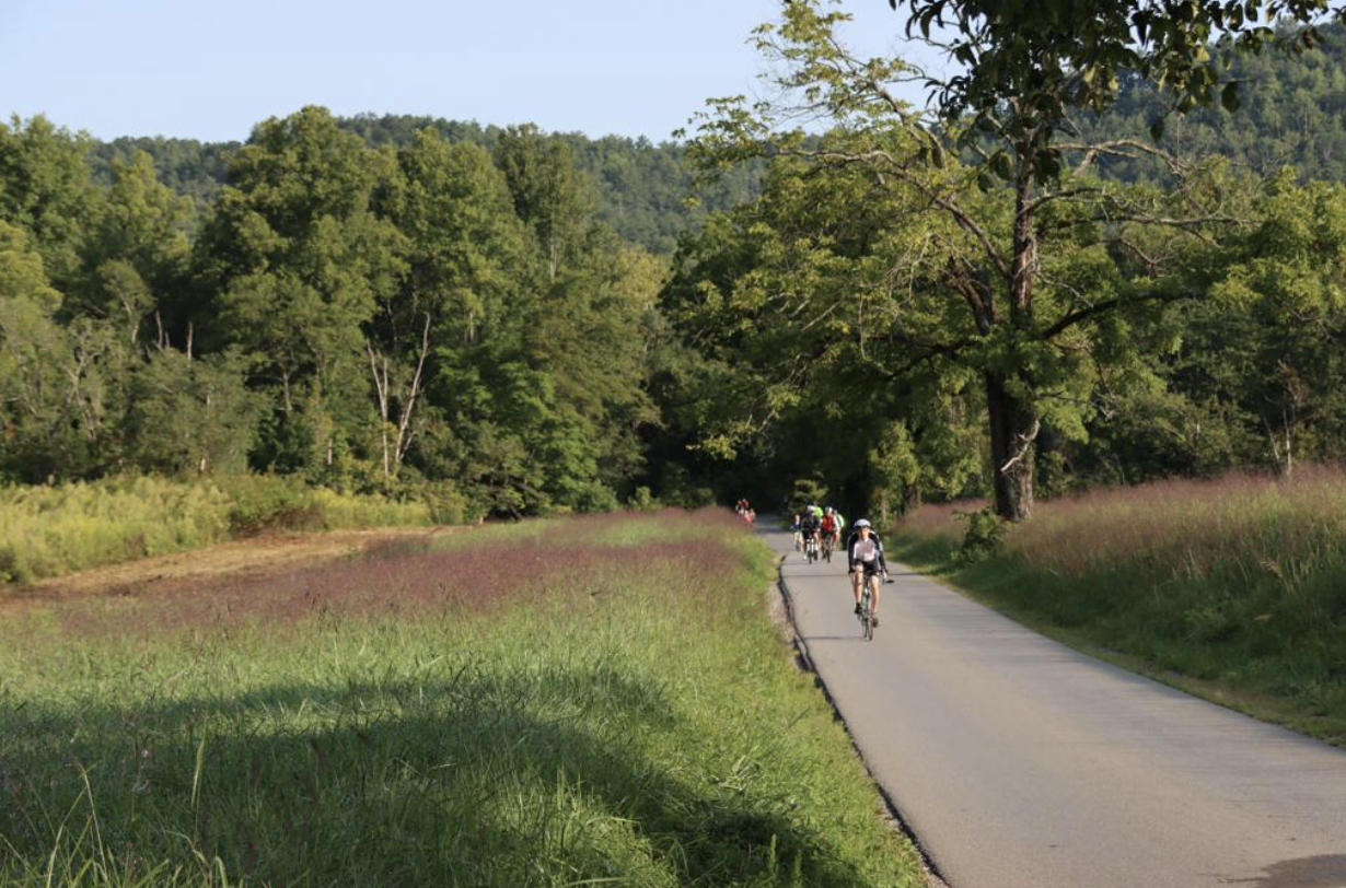Cyclists and walkers enjoying Cades Cove Loop Road during vehicle-free day in the Smoky Mountains