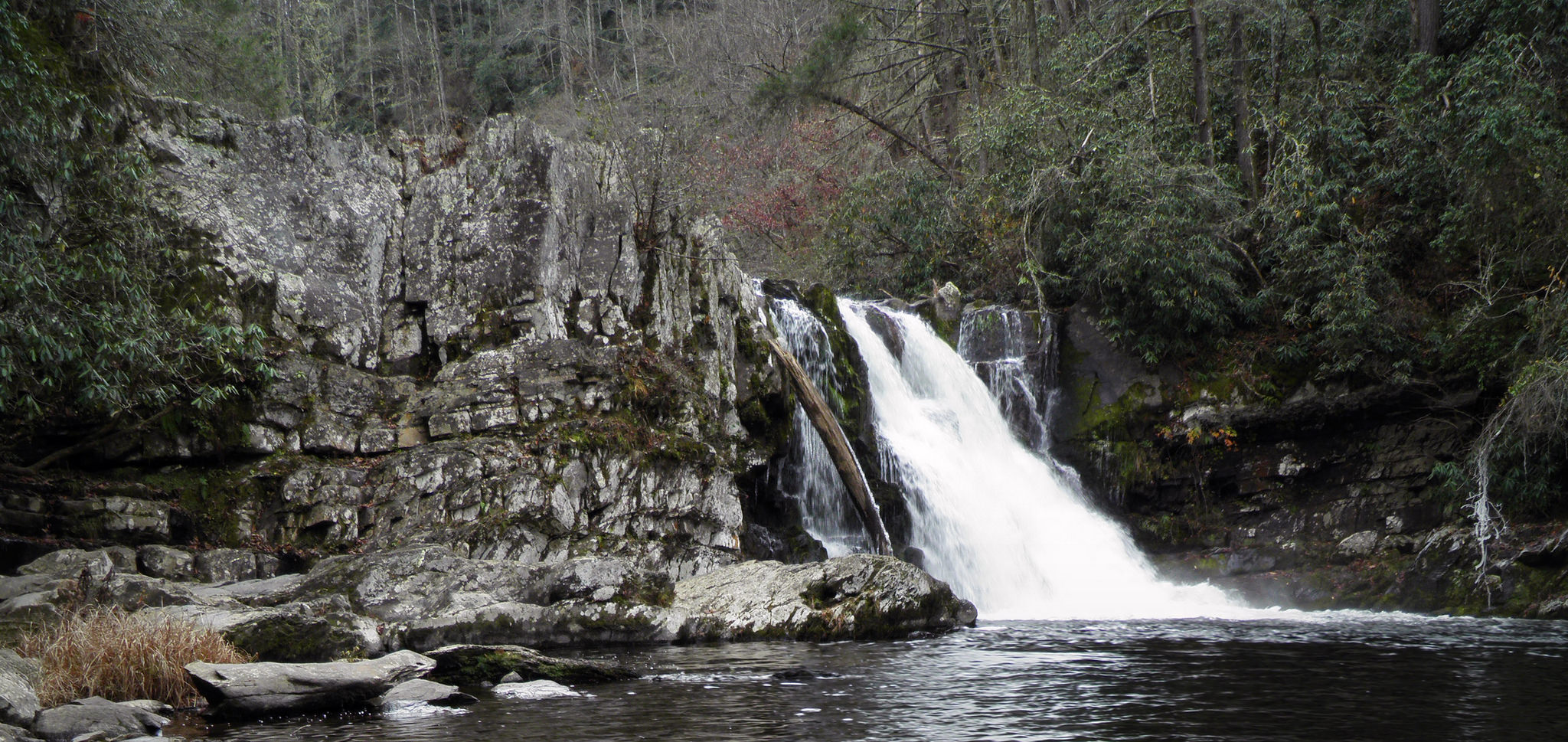 Abrams Falls in winter