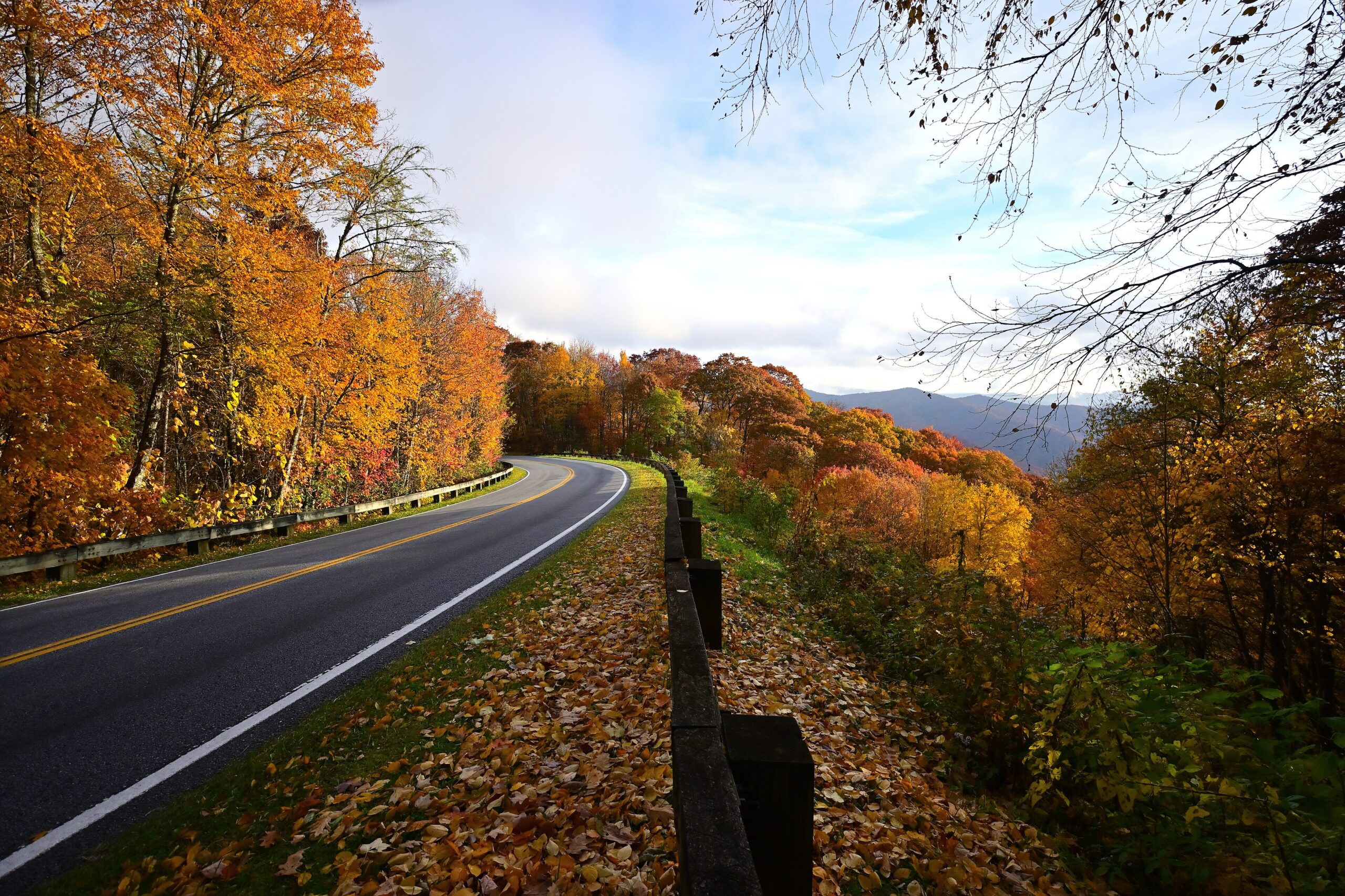 Smoky Mountains Fall Foliage Guide: When and Where to See Peak Color