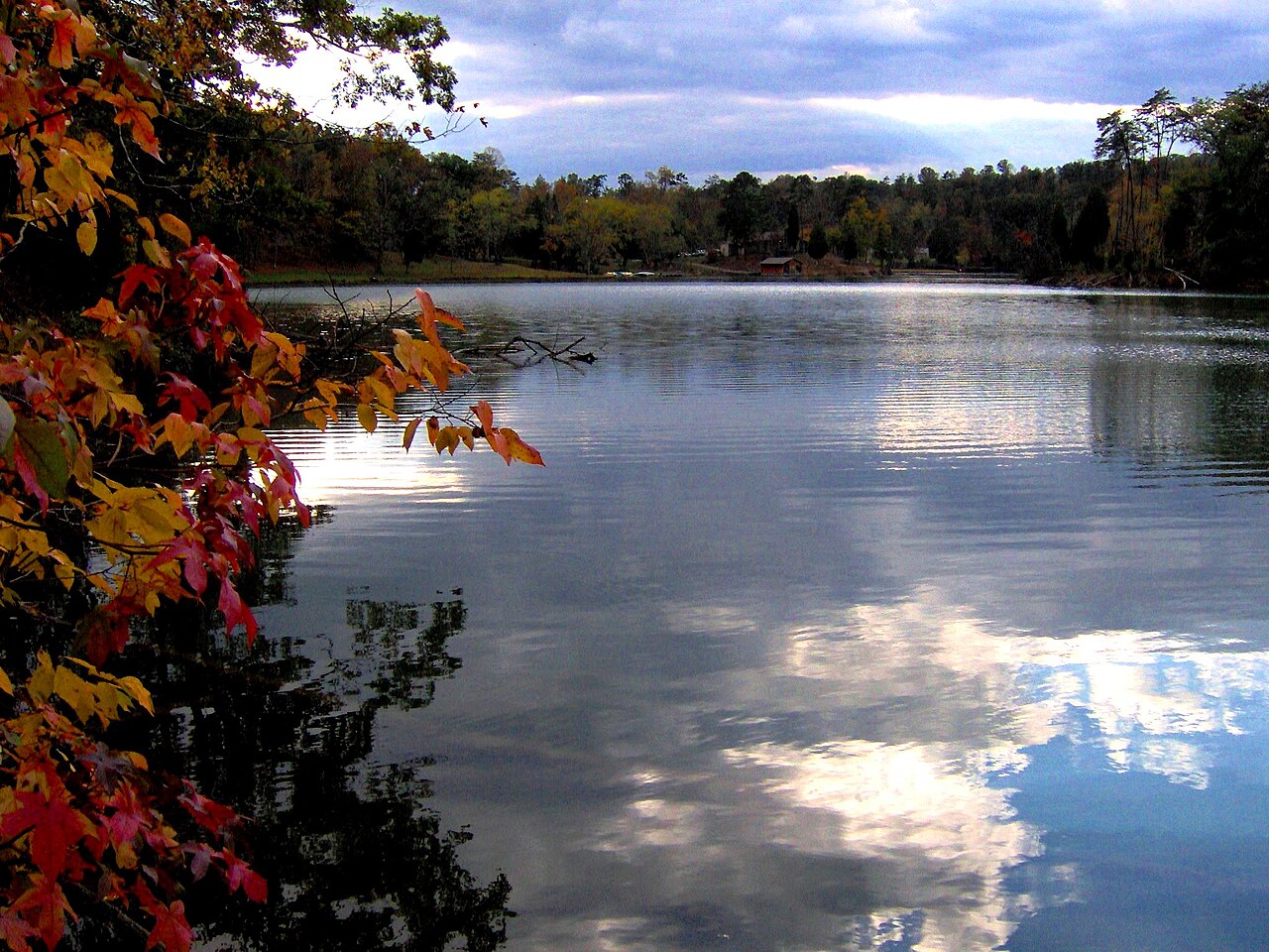 Fall leaves over Big Ridge Lake at Big Ridge State Park in Tennessee
