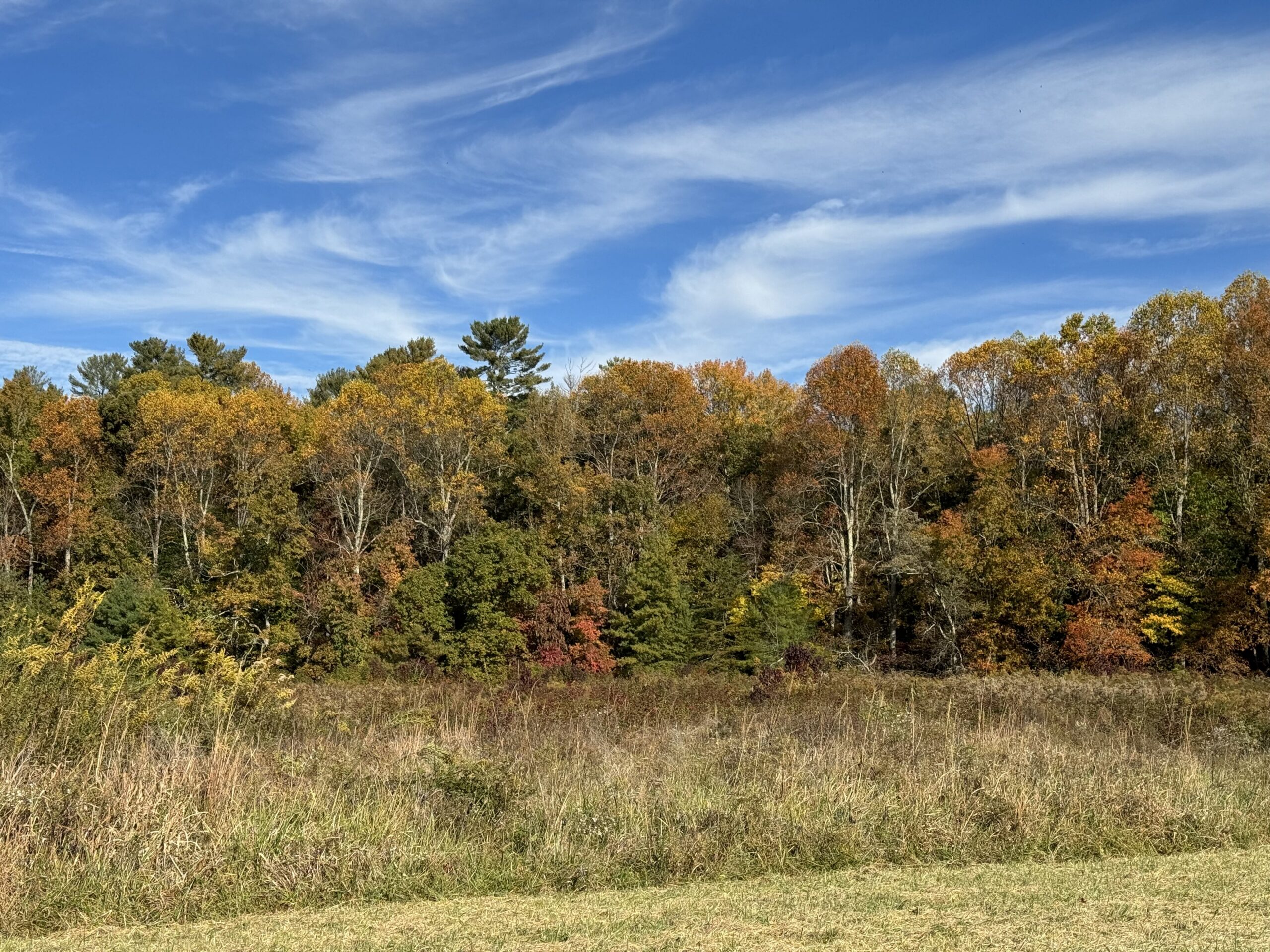 Open meadows and mountain views in Cades Cove
