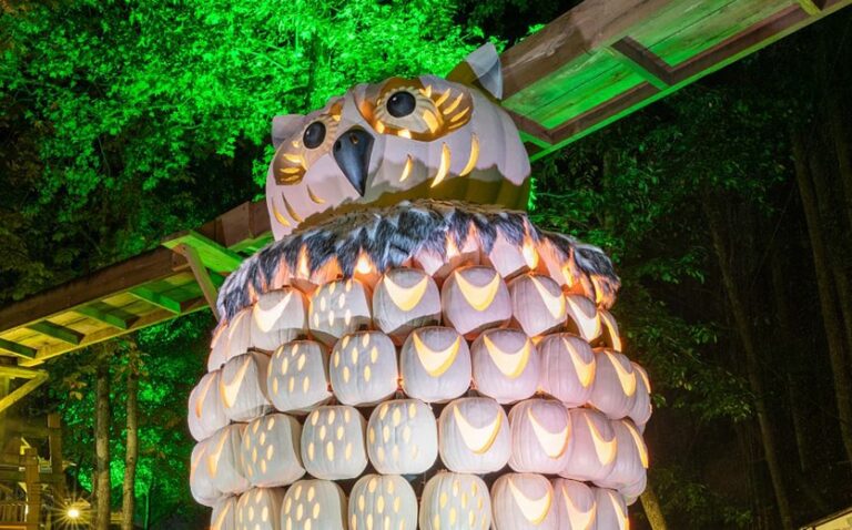 Pumpkin lights at Dollywood's Harvest Festival