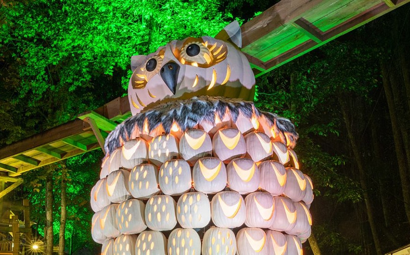 Dollywoods-Harvest-Festival-Great-Pumpkin-LumiNights