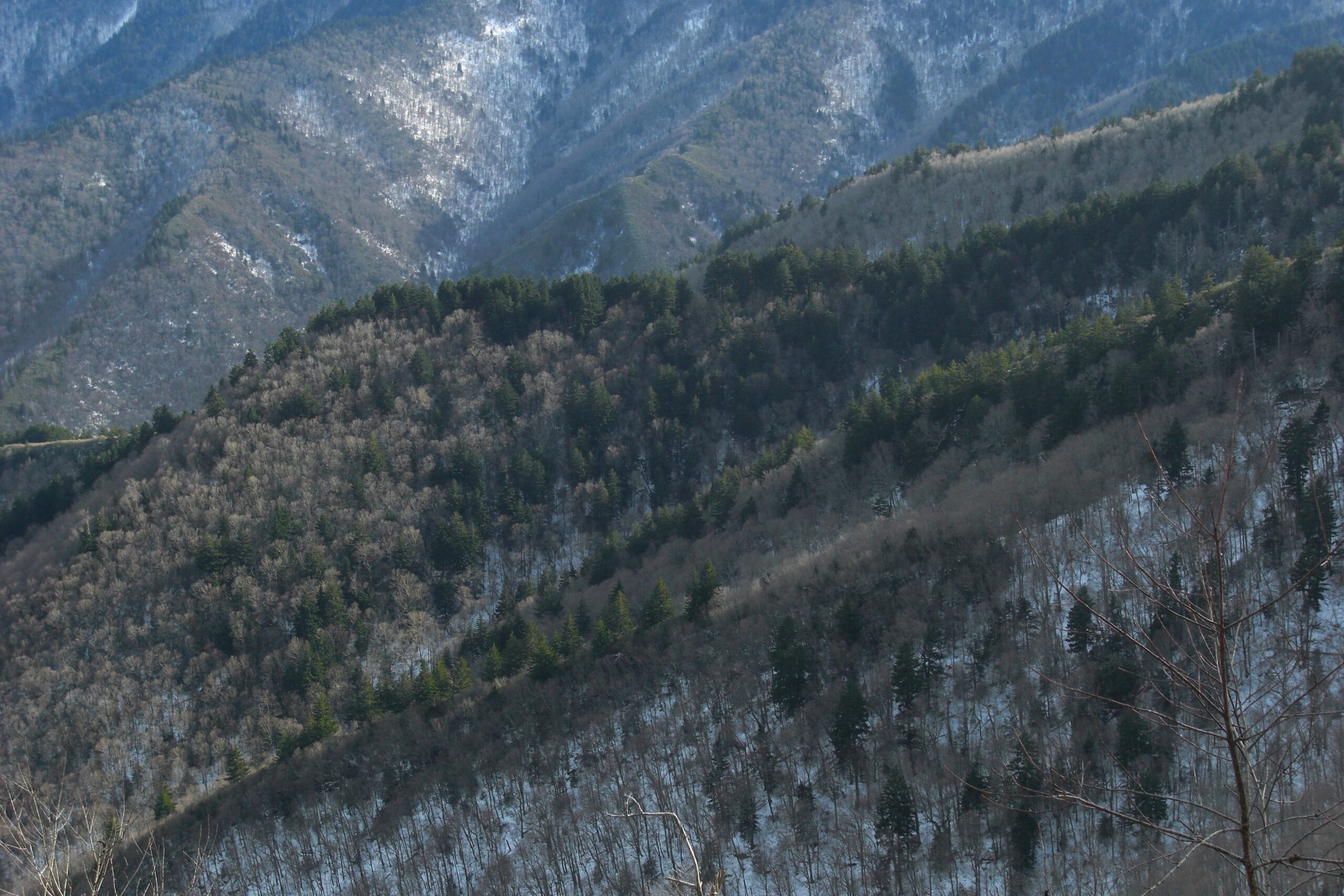 Winter in the Smoky Mountains: Lights, Snowy Views and Cozy Cabin Days