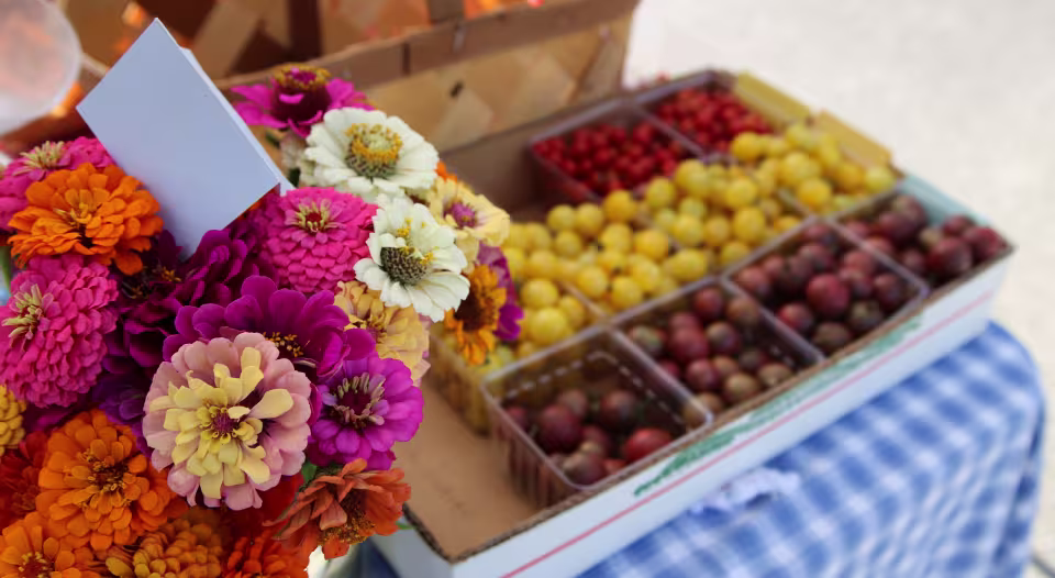 Gatlinburg Farmers Market