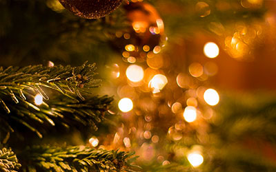 Gatlinburg Festival of Trees