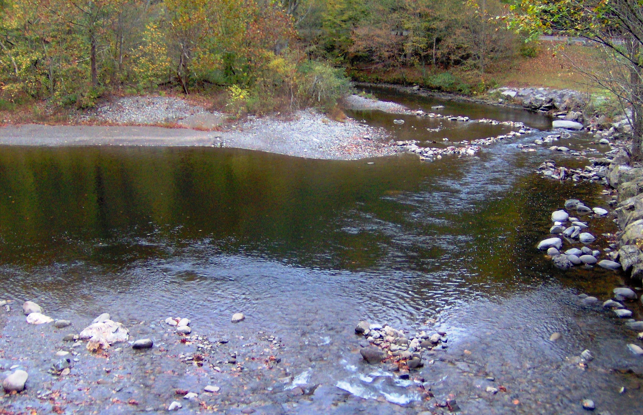 The Little River in Townsend: Tubing, Swimming and Picnics