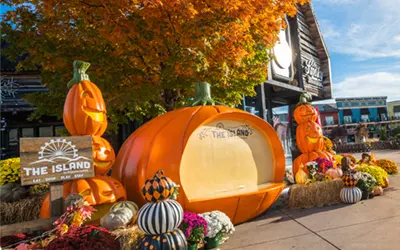 Trick or Treat at The Island